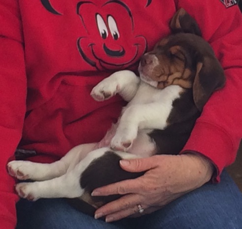 Naptime - 5 weeks old